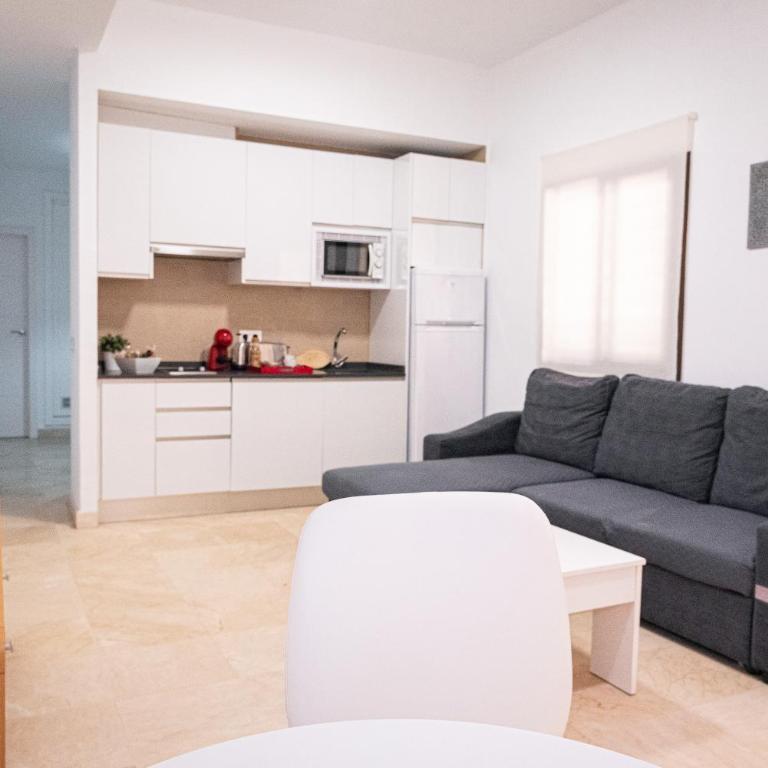 Hoteles del Sur - Apartamento Superior de 1 dormitorio - 53