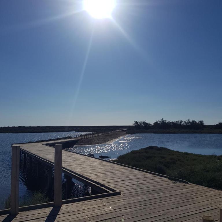 La Galiote, T2 vue port, terrasse et parking - Appartement 1 Chambre - 43