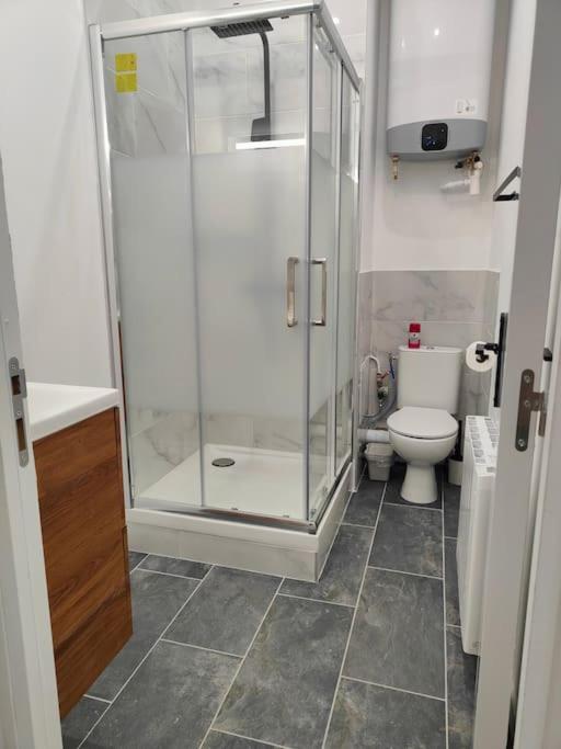 Charmant appartement hyper centre métro gare - Apartamento de 1 dormitorio - 10