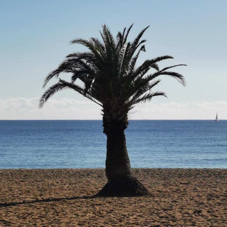 APPARTEMENT CAP ESTEREL CLIMATISE VUE MER - Appartement 1 Chambre - 27