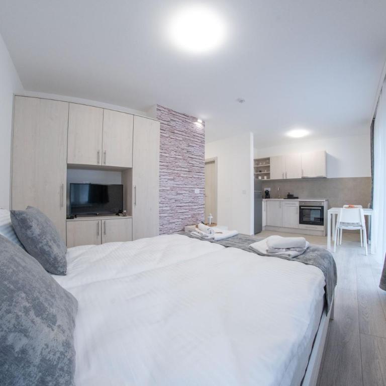 Pegasus apartments - Apartman sa 1 Spavaćom Sobom - 9