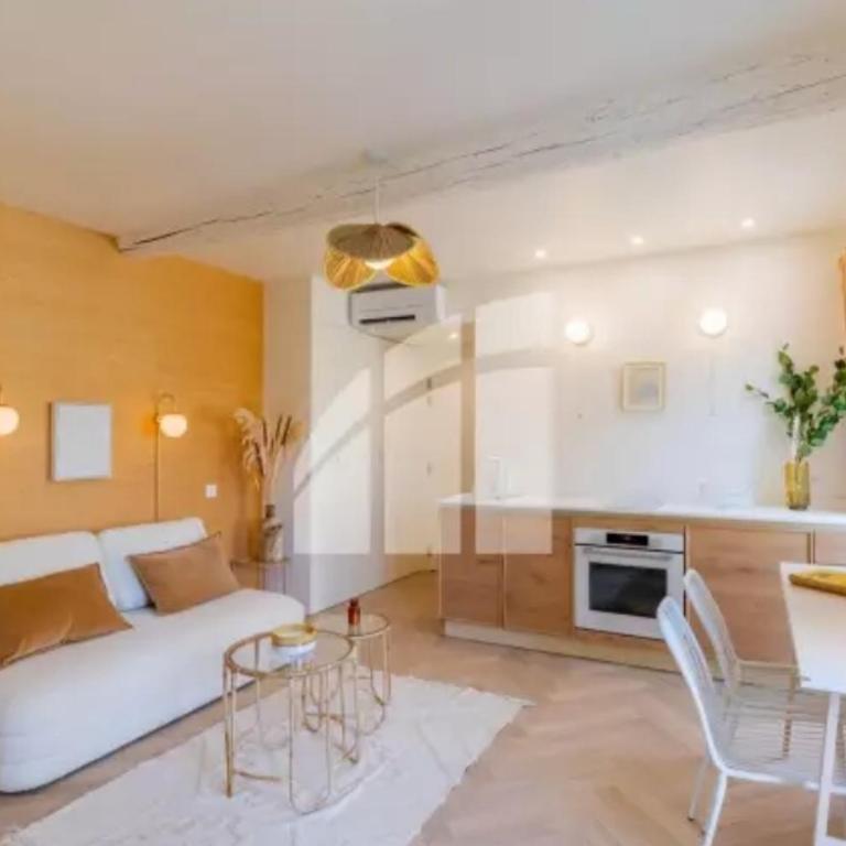 2 pièces vieux Nice vue coulée verte - Appartement 1 Chambre - 6