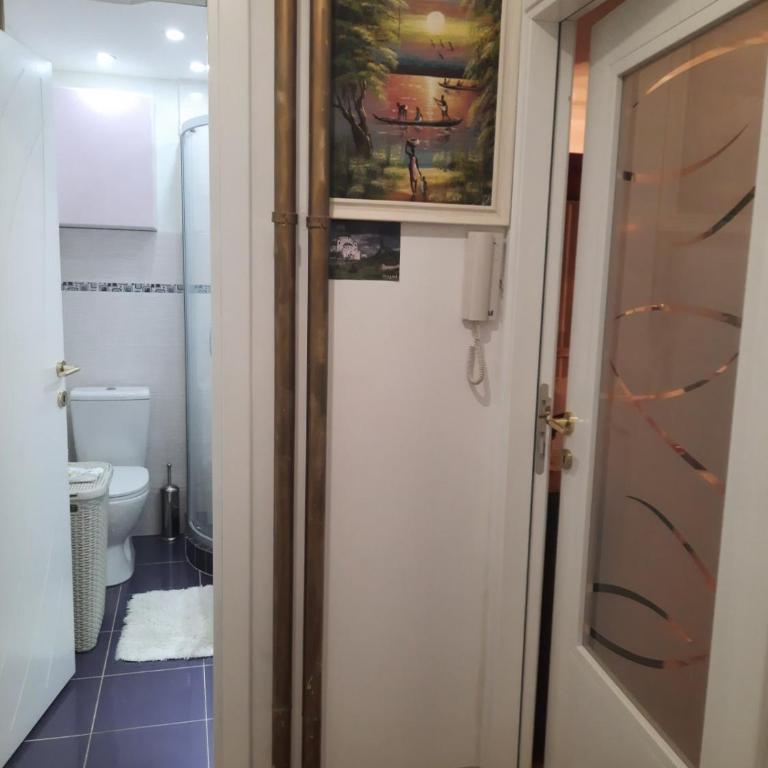 Apartment Sofija Savski - Apartman sa 1 Spavaćom Sobom - 3