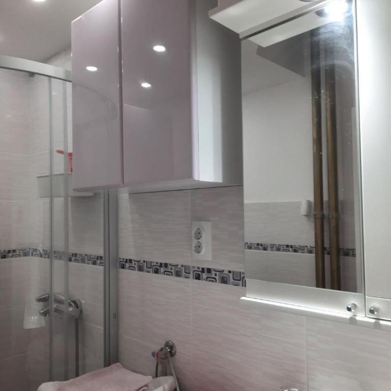 Apartment Sofija Savski - Apartman sa 1 Spavaćom Sobom - 4