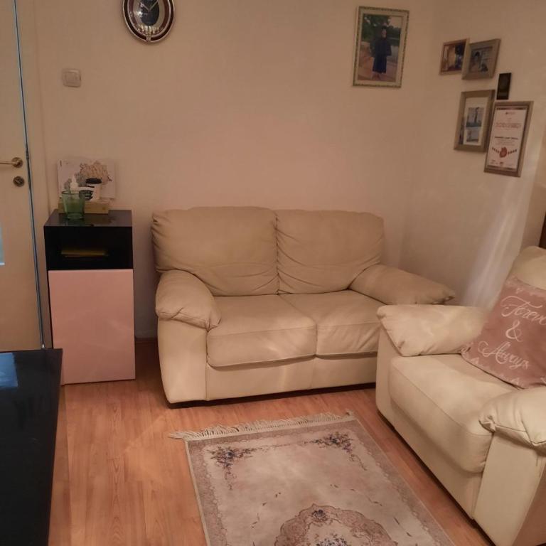 Apartment Sofija Savski - Apartman sa 1 Spavaćom Sobom - 5