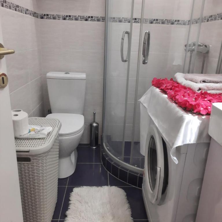 Apartment Sofija Savski - Apartman sa 1 Spavaćom Sobom - 7