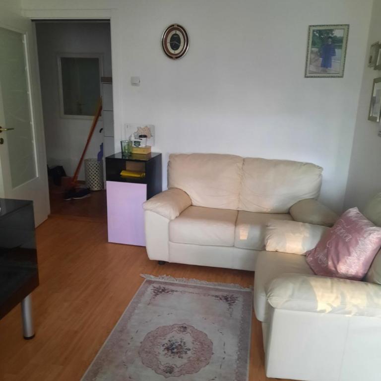 Apartment Sofija Savski - Apartman sa 1 Spavaćom Sobom - 9