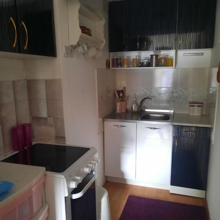 Apartment Sofija Savski - Apartman sa 1 Spavaćom Sobom - 10