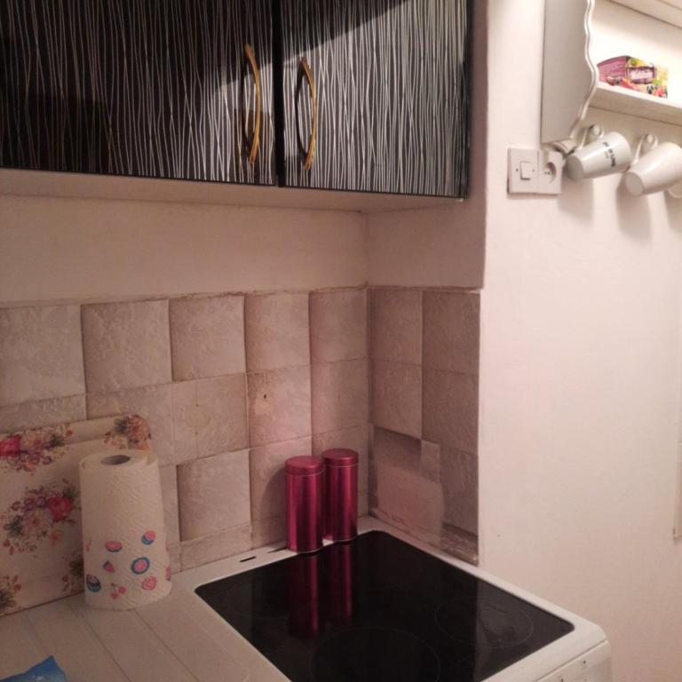 Apartment Sofija Savski - Apartman sa 1 Spavaćom Sobom - 16