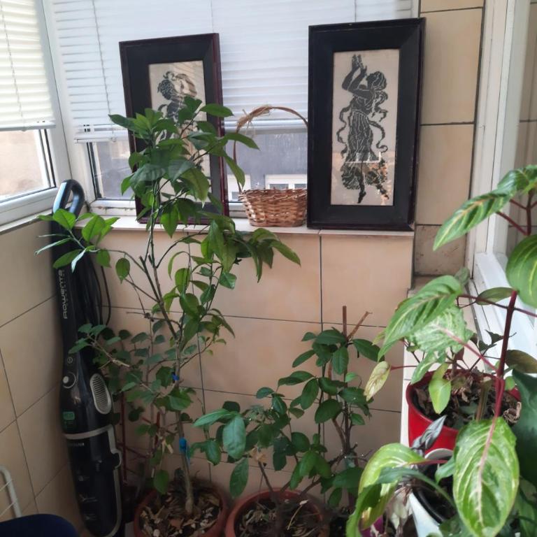 Apartment Sofija Savski - Apartman sa 1 Spavaćom Sobom - 19