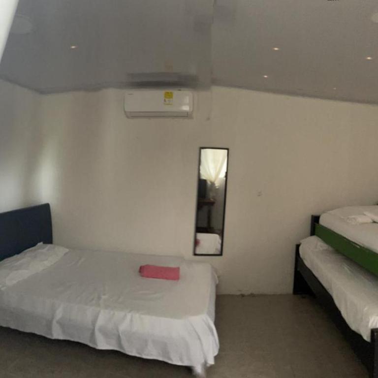sophia house - Apartamento de 2 dormitorios - 1
