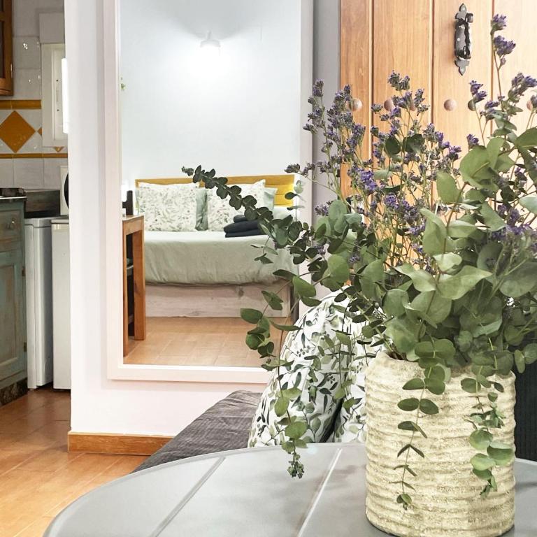 Apartamento ALAZUL Luna - Studio - 6