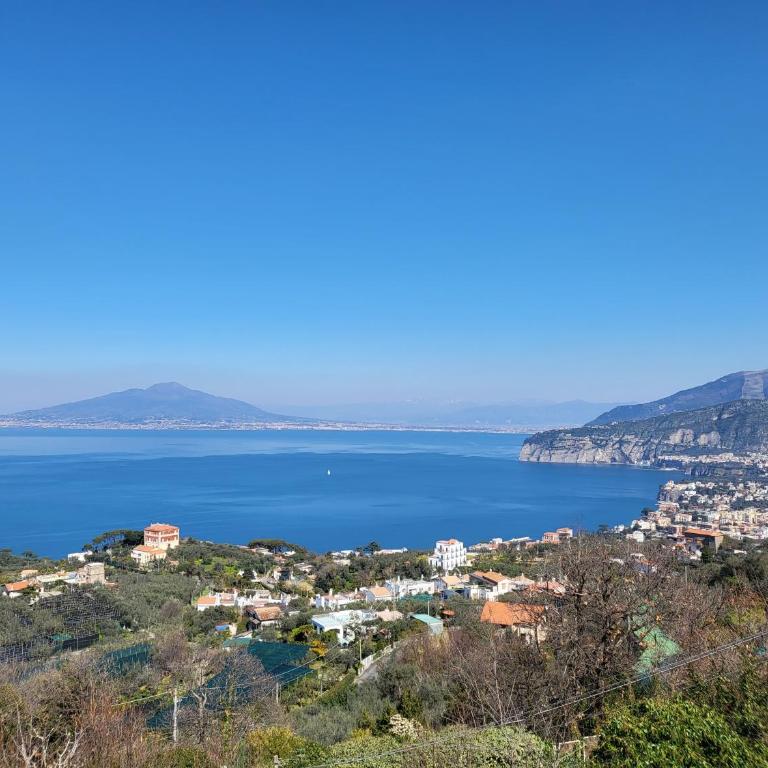 Bellavilla Sorrento B - Villa - 9