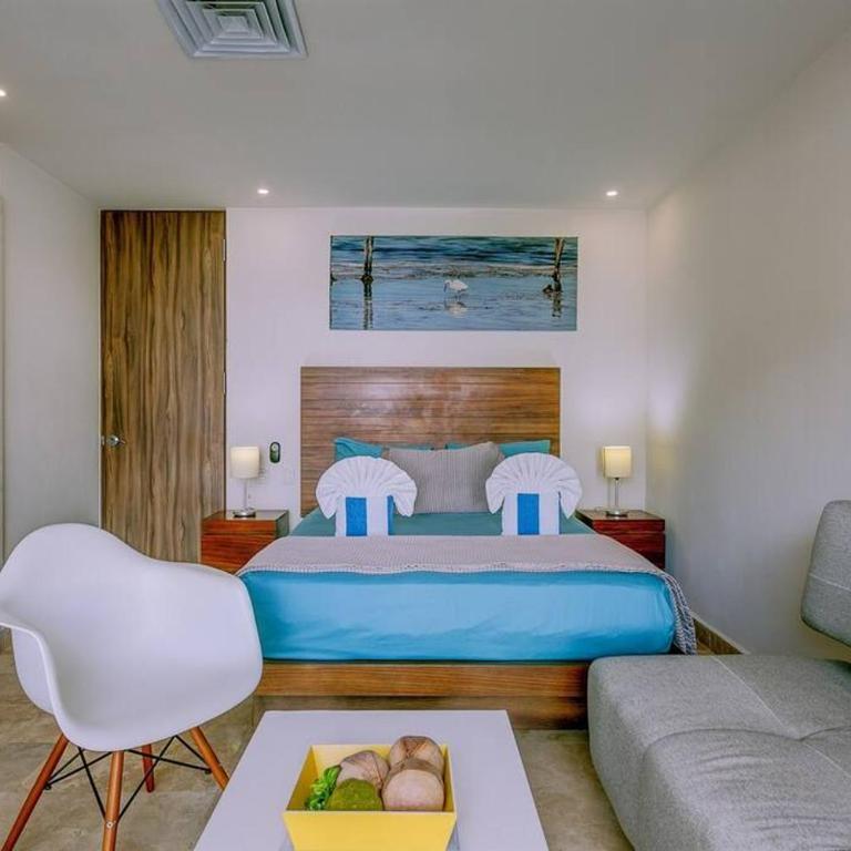 Danzamar 1B with Pool & Rooftop near Mamitas beach - One-Bedroom Apartment - 11