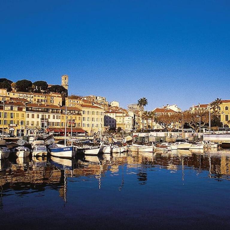 Le Suquet superbe appartement studio, 300m plage, 700 du palais - Appartement 1 Chambre - 19