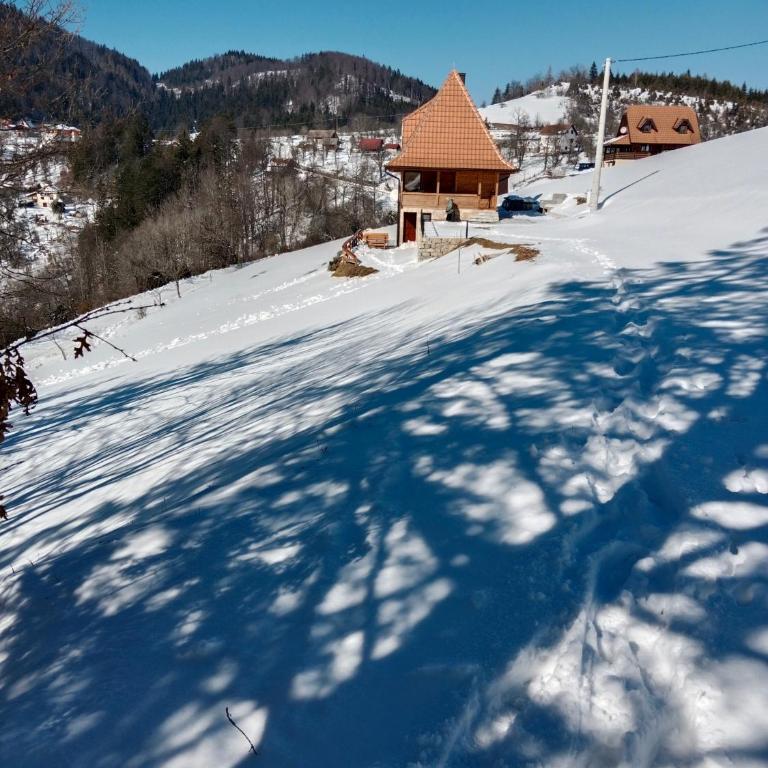 Zaovinska Panorama I - Apartman sa 1 Spavaćom Sobom - 38