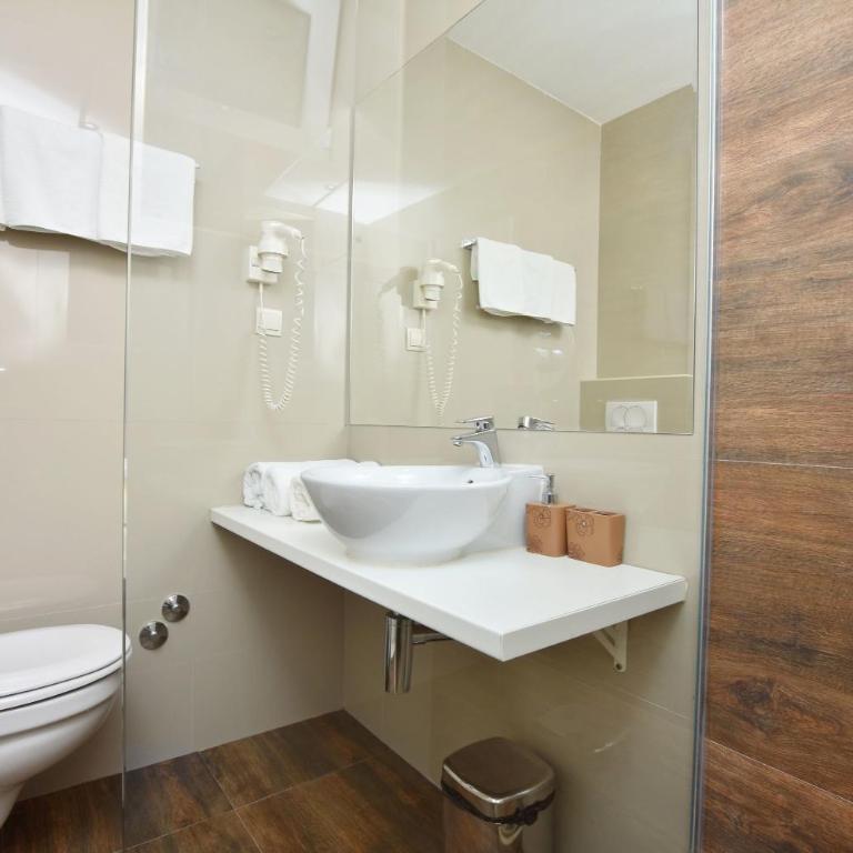 Apartments Ivanovic - Studio sa Balkonom - 6