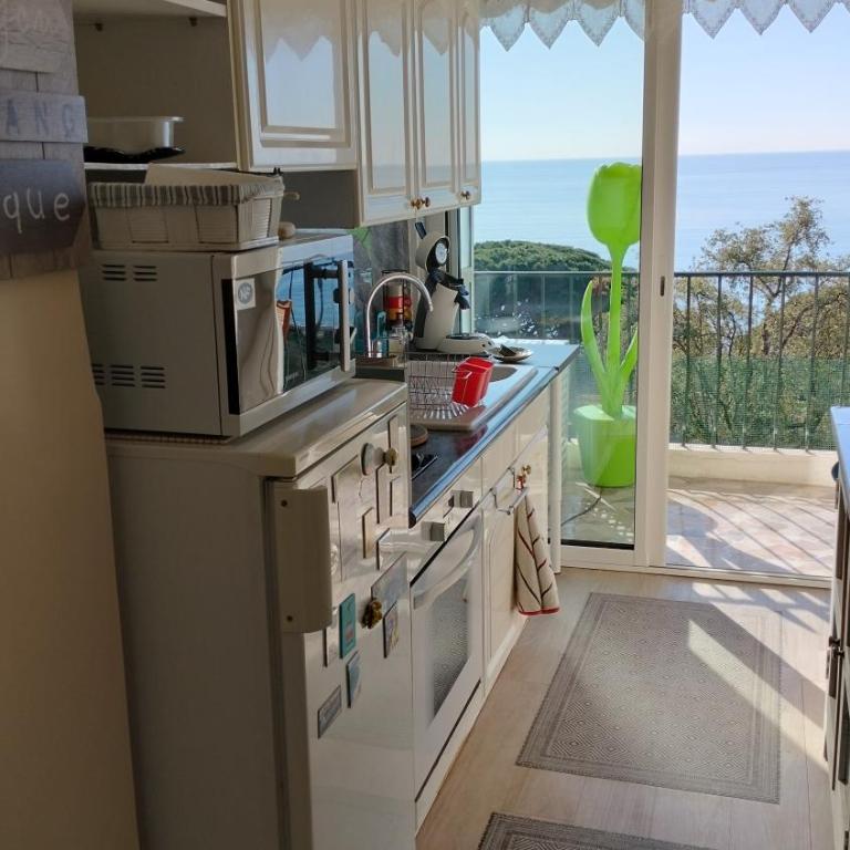 Appartement vue mer panoramique, plage 150M, terrasse, parking privé, clim - Appartement 1 Chambre - 14