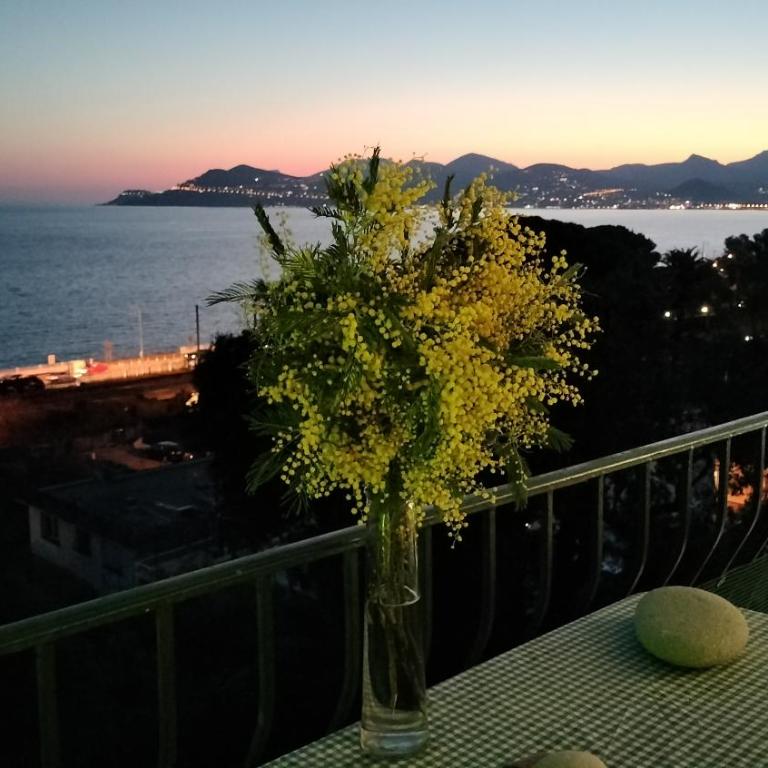 Appartement vue mer panoramique, plage 150M, terrasse, parking privé, clim - Appartement 1 Chambre - 15