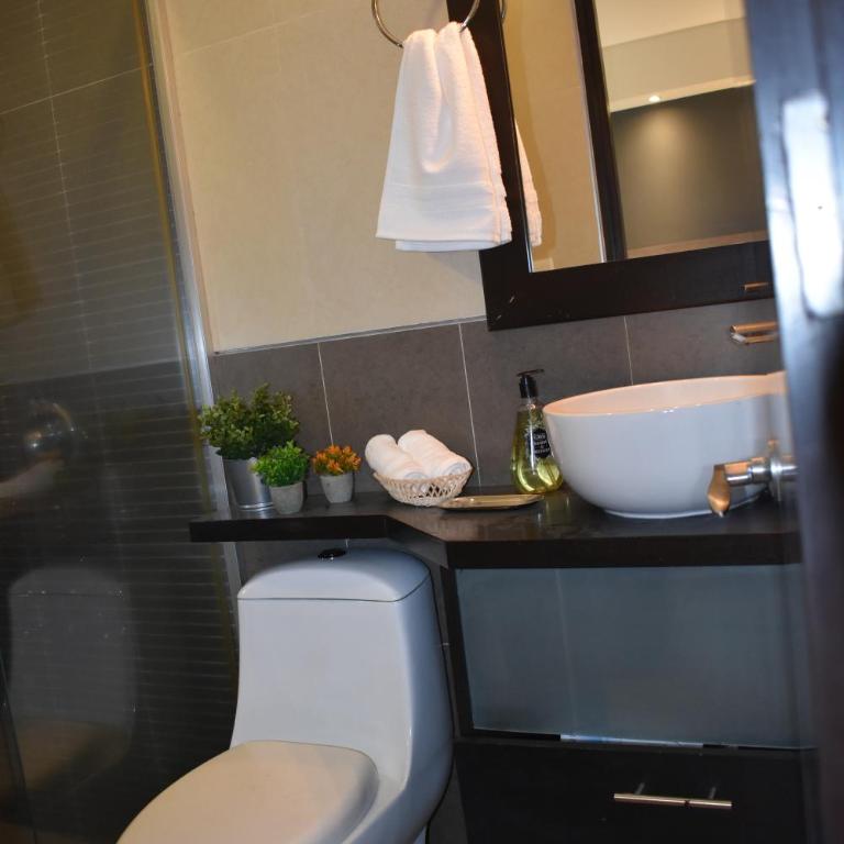 Vive Roma CDMX - Apartamento de 2 dormitorios - 10