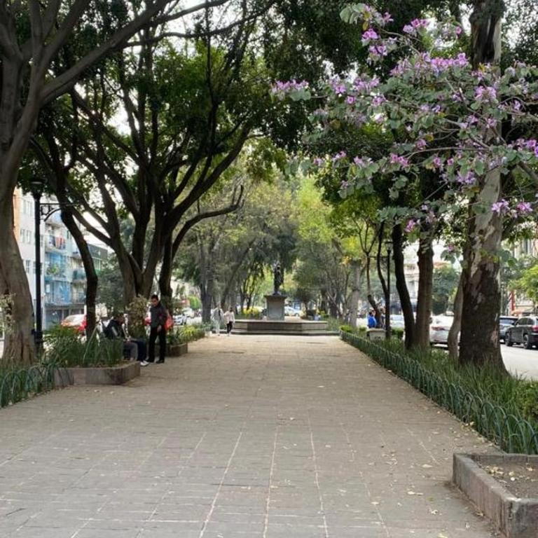 Vive Roma CDMX - Apartamento de 2 dormitorios - 22