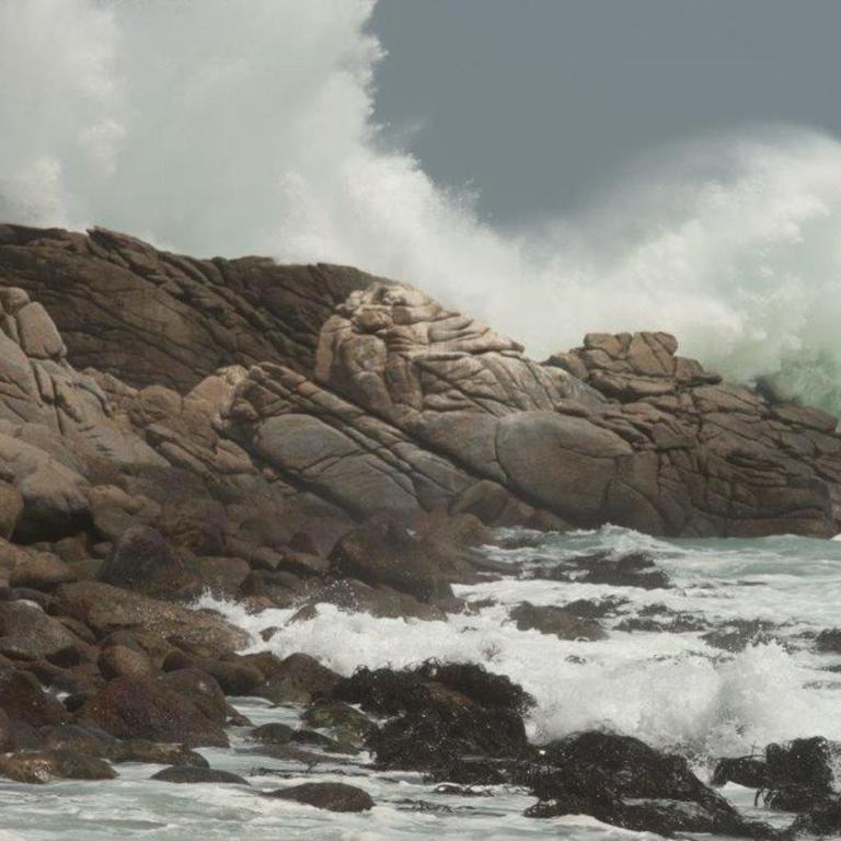 Horizonte Infinito - Apartment - Ground Floor - 3