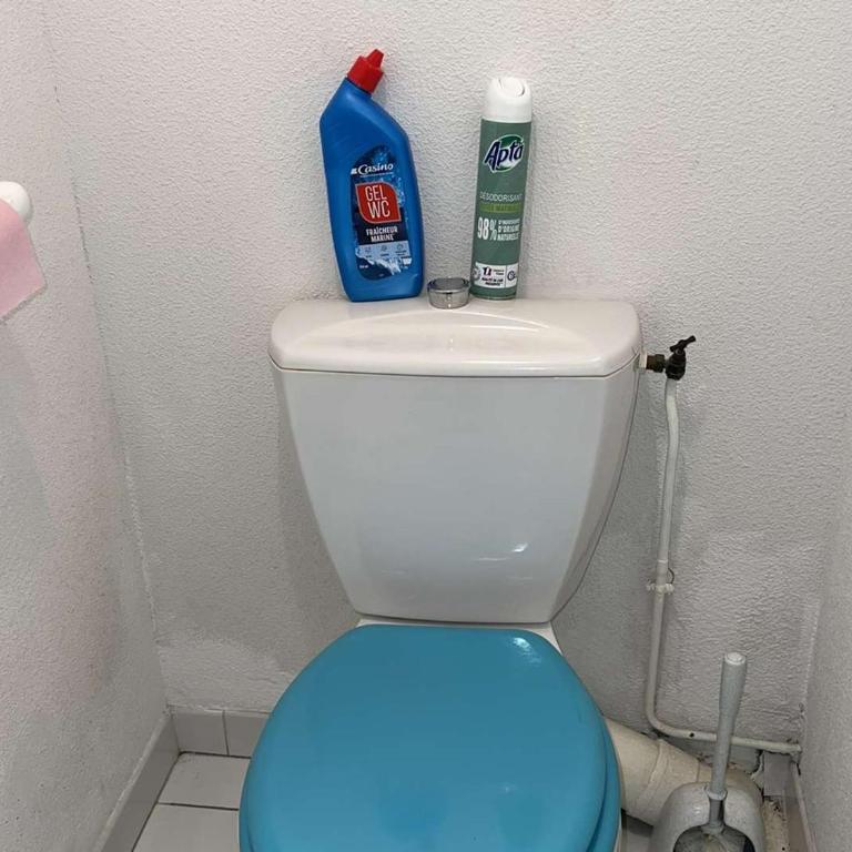 Appartement T2 Cabine avec Piscine, Lave-Vaisselle, Plage à 150m, Animaux Acceptés - FR-1-702-42 - Apartment - 17