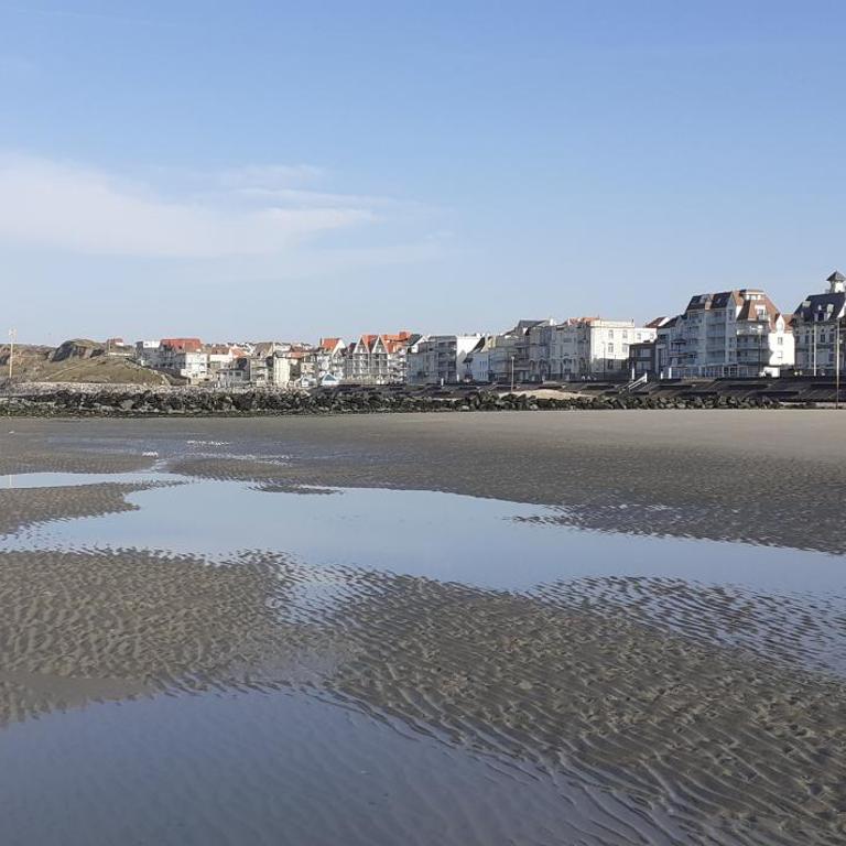 Studio 30 m2 refait à neuf idéalement situé centre ville et plage - Studio - 24