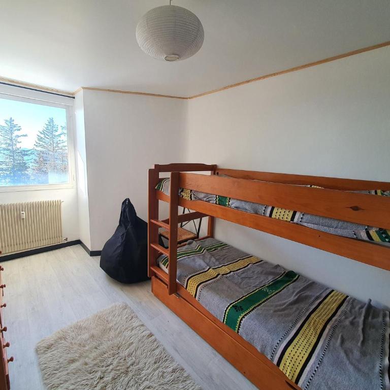 Appartement 2 pièces, balcon OUEST, animaux acceptés - Appartement 1 Chambre - 5