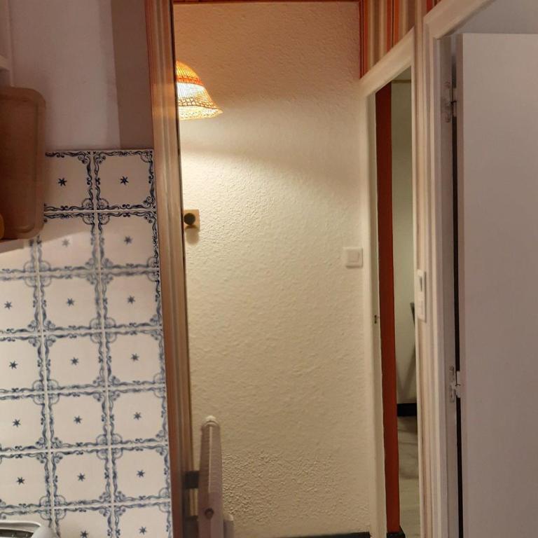 Appartement 2 pièces, balcon OUEST, animaux acceptés - Appartement 1 Chambre - 6