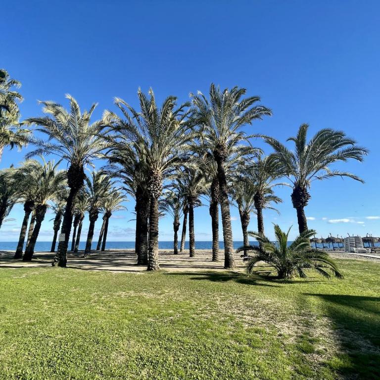 Exclusive beachfront apartment Torremolinos - pool - paddle - tenis - wifi - central aircon - Apartment with Sea View - 14