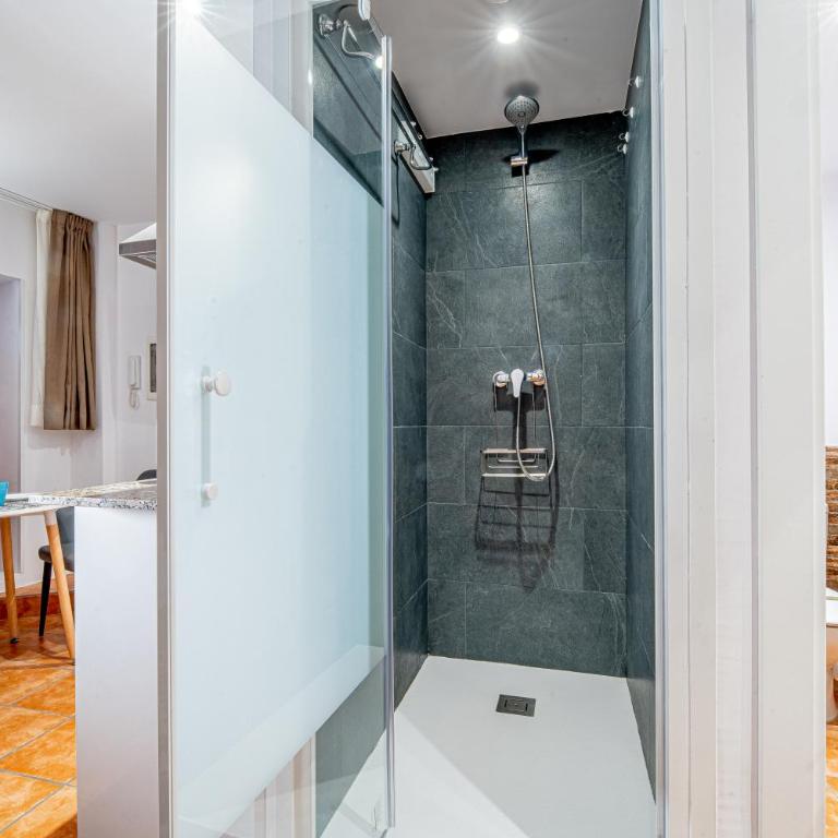 Planta baja en la muralla romana junto a la Catedral - Apartamento de 1 dormitorio - 7