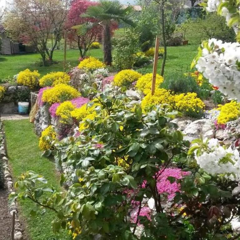 B&B La Betulla - Camera Matrimoniale con Vista Giardino - 3