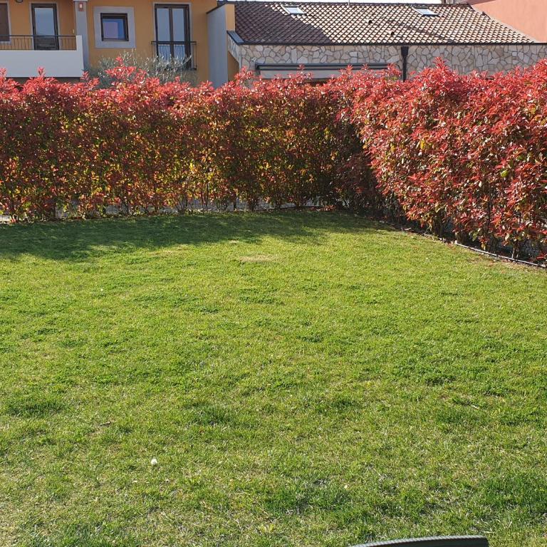 CASA VACANZE DA RIKI - Casa con 1 Camera da Letto - 7