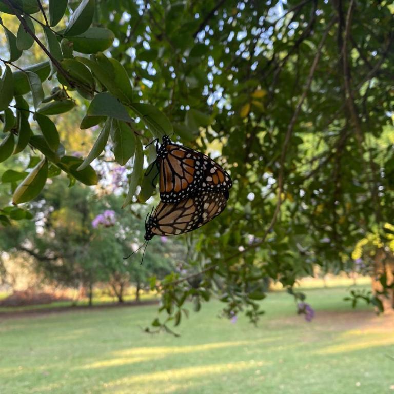 La Guarida Lobos - Casa de 4 dormitorios - 15