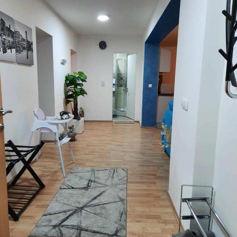 Grand Blue 2 Bedroom Apartment Sokobanja - Two-Bedroom Apartment - 9