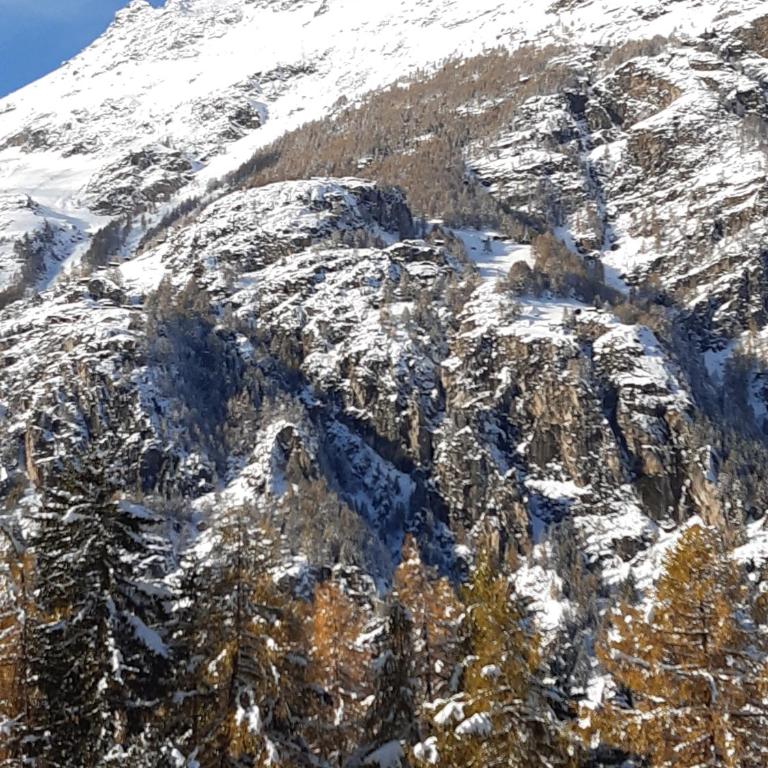 Chalet Sven & Marc Grächen, Niedergrächen Vallis - Haus mit 4 Schlafzimmern - 17