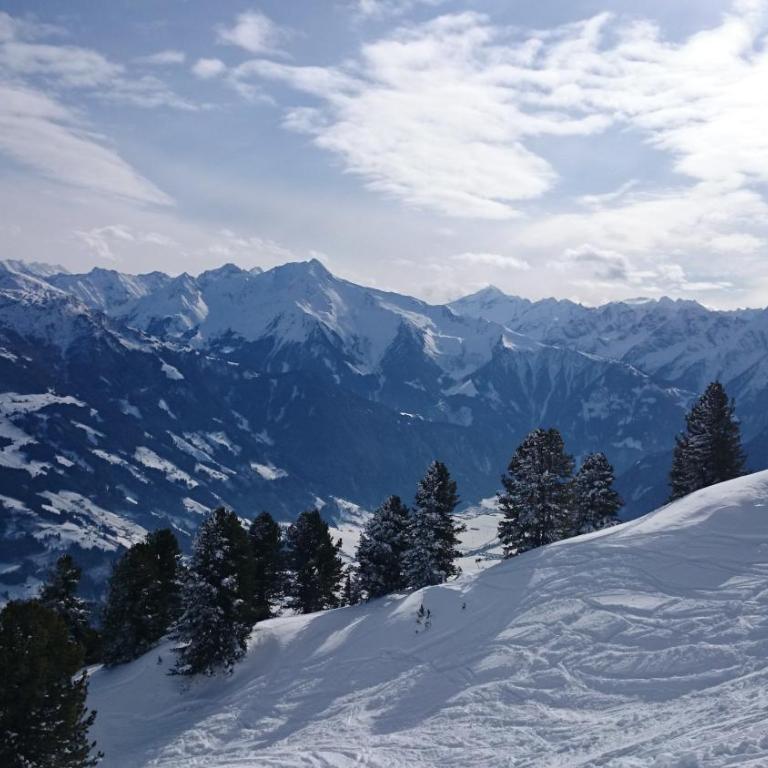 Appartements Rieser - im Herzen von Mayrhofen - sonniger Balkon - 3 Schlafzimmer - Apartment mit 3 Schlafzimmern - 94