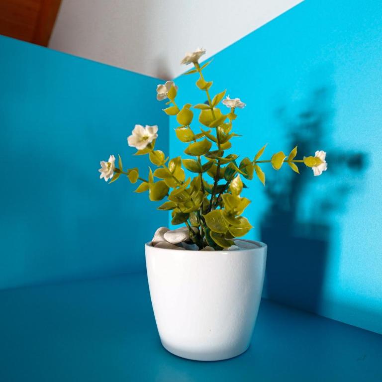 Casa la Pau - Five-Bedroom House - 25