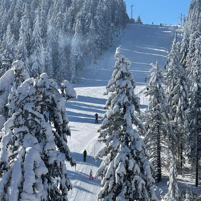 Woodside Kopaonik & SPA by Slopeview - One-Bedroom Apartment - 5