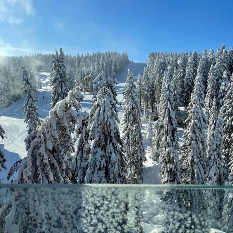 Woodside Kopaonik & SPA by Slopeview - One-Bedroom Apartment - 1