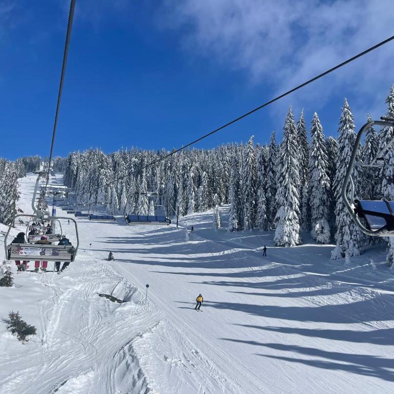 Woodside Kopaonik & SPA by Slopeview - One-Bedroom Apartment - 29