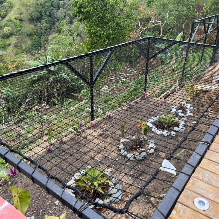 Entre Verdes Hotel & Glamping - Chalet - 3