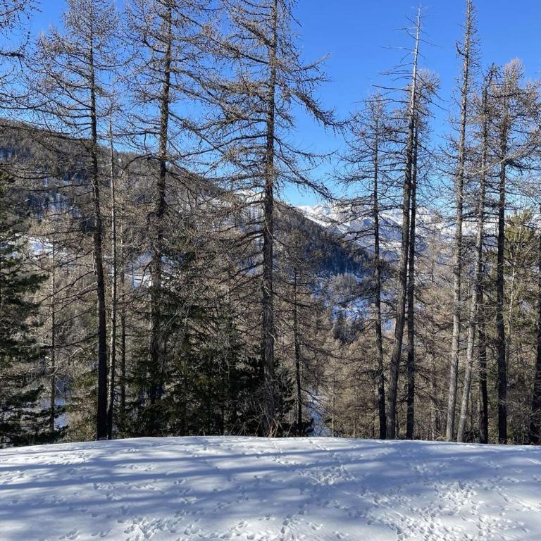 Studio calme 4 pers, Risoul 1850, proche centre, casier à ski - Appartement 1 Chambre - 18