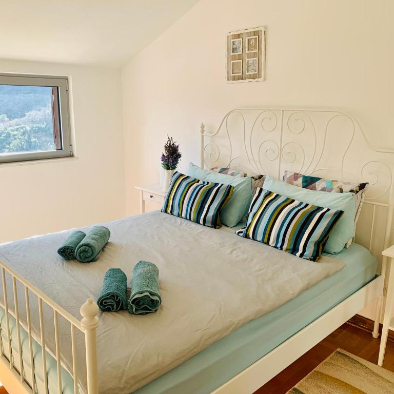 Lavender Bay Apartment C31 - One-Bedroom Apartment - 4