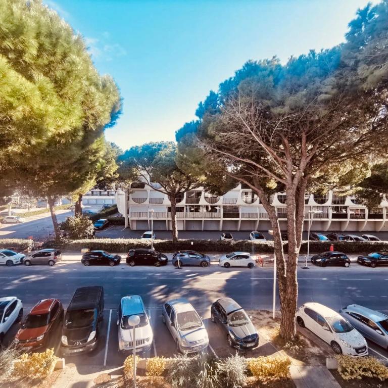 Le Grand Bleu, La Grande Motte, Plage - Apartment mit 1 Schlafzimmer - 10