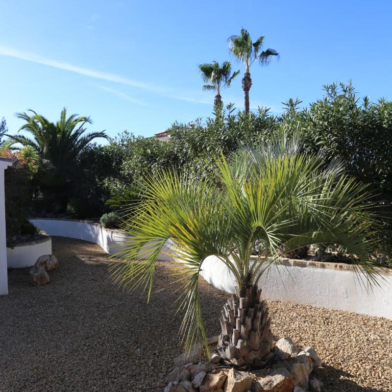 Villa Sal y Mar - Jávea ! Freshly Renovated ! - Villa de 3 dormitorios - 43