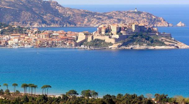 Appartement ou Studio la mer & la plage à vos pieds CALVI - Apartment with Sea View - 19