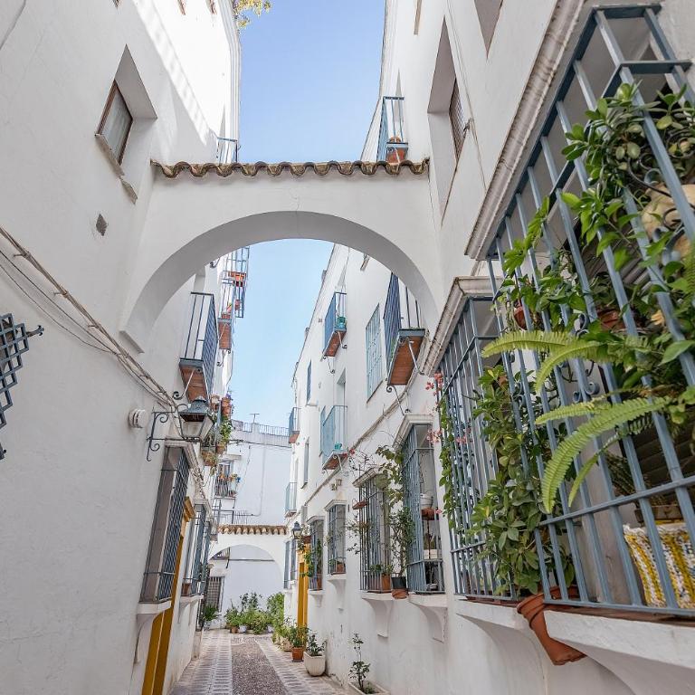 BHost - El Indiano - Apartamento de 3 dormitorios - 17