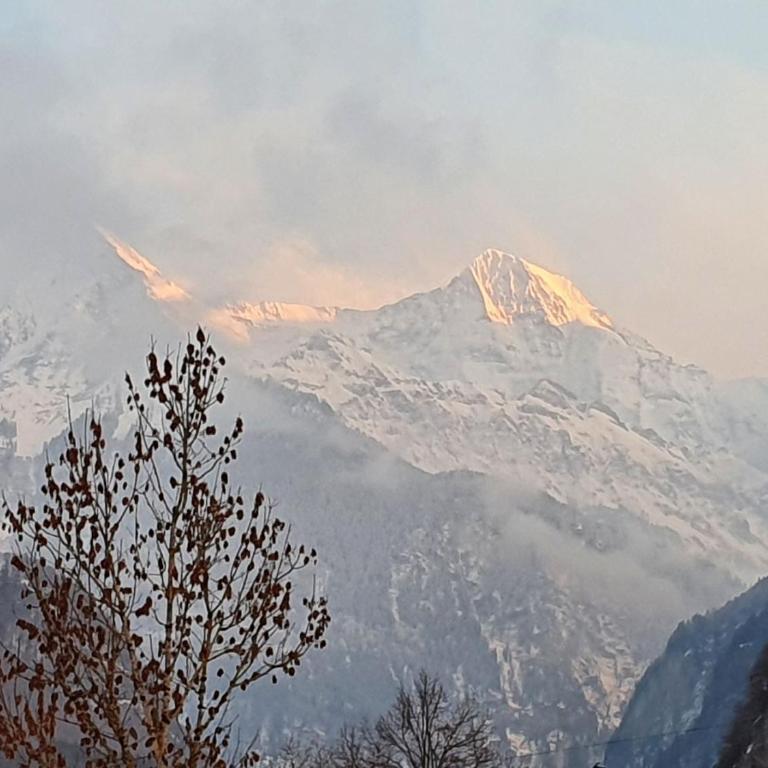 Chalet Gafri -Boutique B&B - comfort and hospitality - near Interlaken - Kleines Doppelzimmer mit Bad - 3